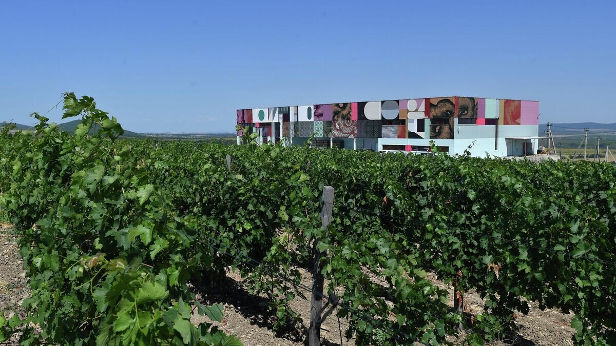    Винодельня "Сухая гора"© РИА Новости / Михаил Воскресенский