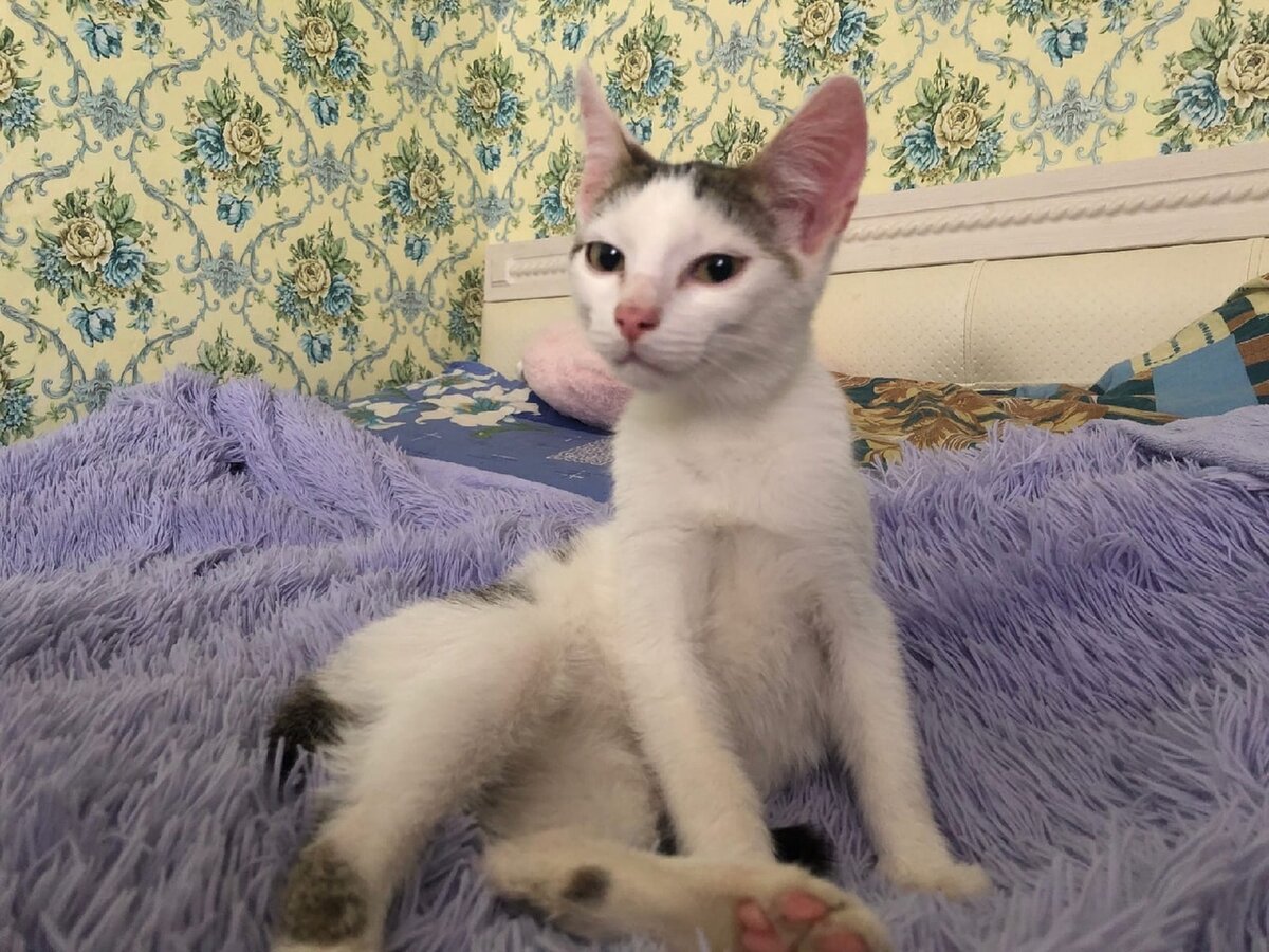 И эту малышку спасла и пристроила Даша