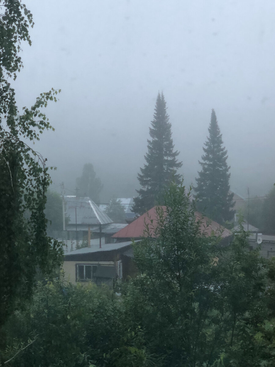 Утренний вид из окна гостевого дома