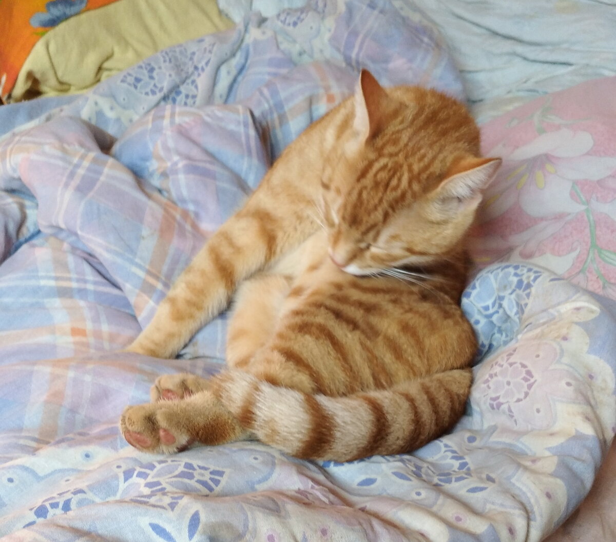 Личное  фото