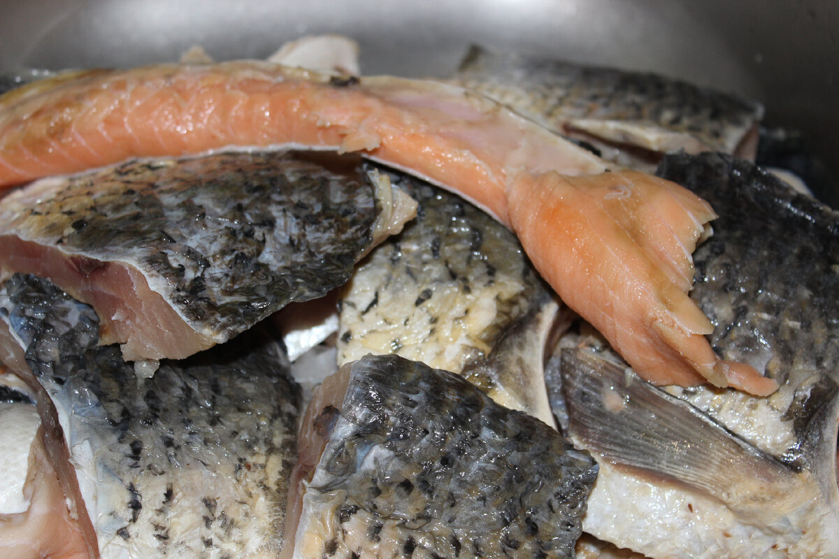 Фото автора. Готовим рыбу к консервации.