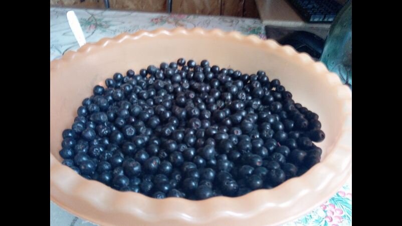 Фото автора.Ф