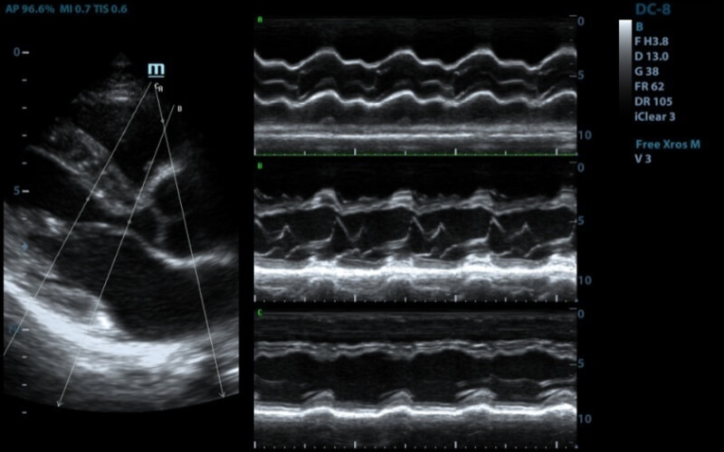 Источник изображения: medford.ru