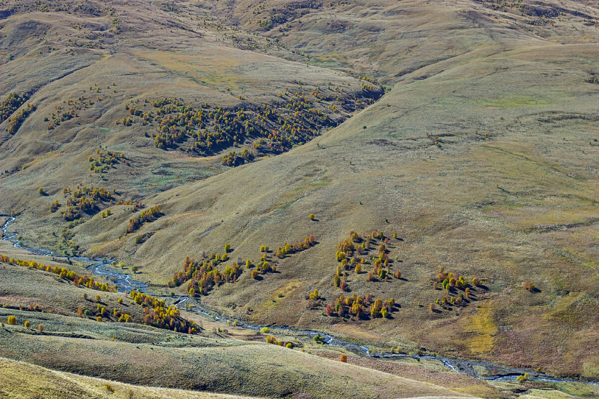 Река Артыкчал у подножия Эльбруса 