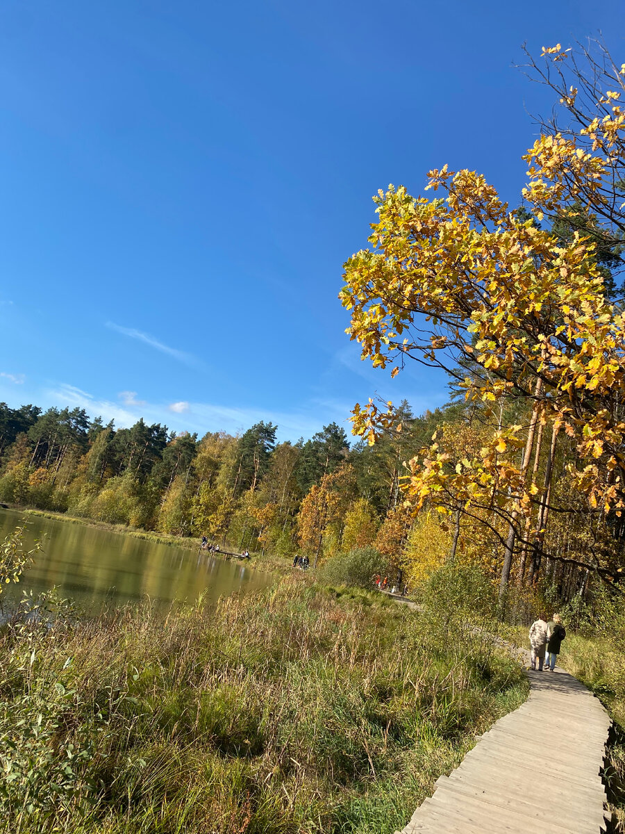 Так красиво 😍 