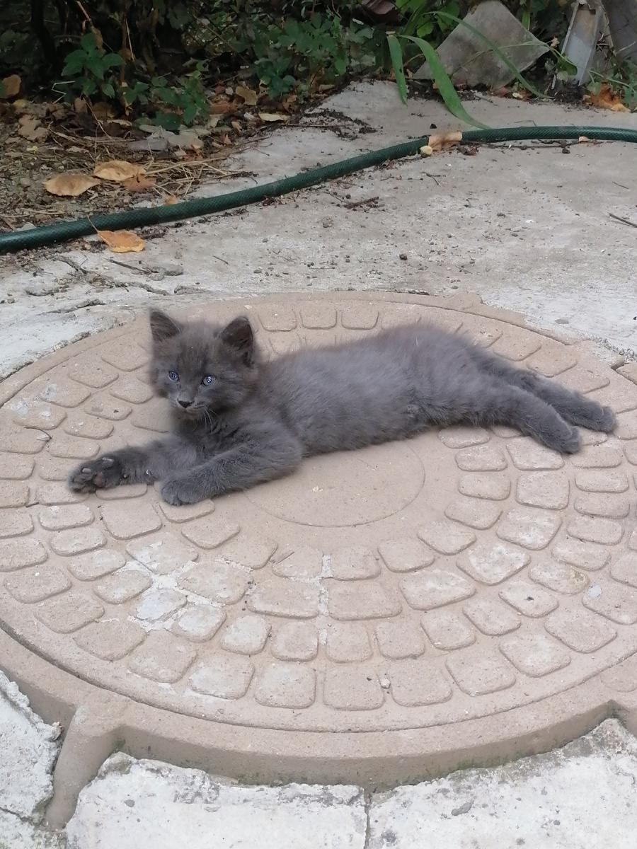 Тут ему месяца три