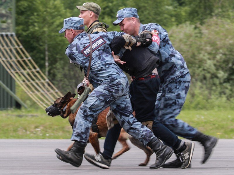 Росгвардейцев скоро можно будет мобилизовать в первую очередь. Фото russianmigration.ru