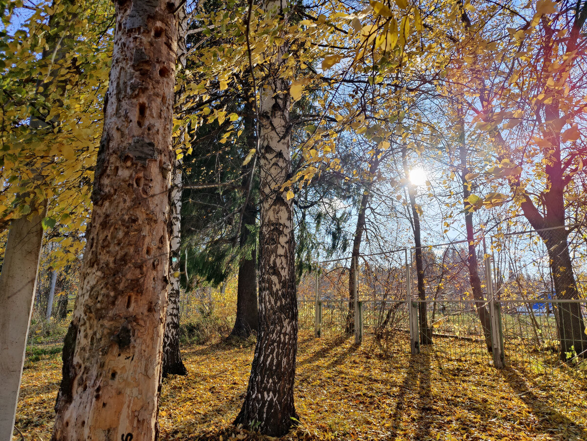Как можно за это не благодарить?