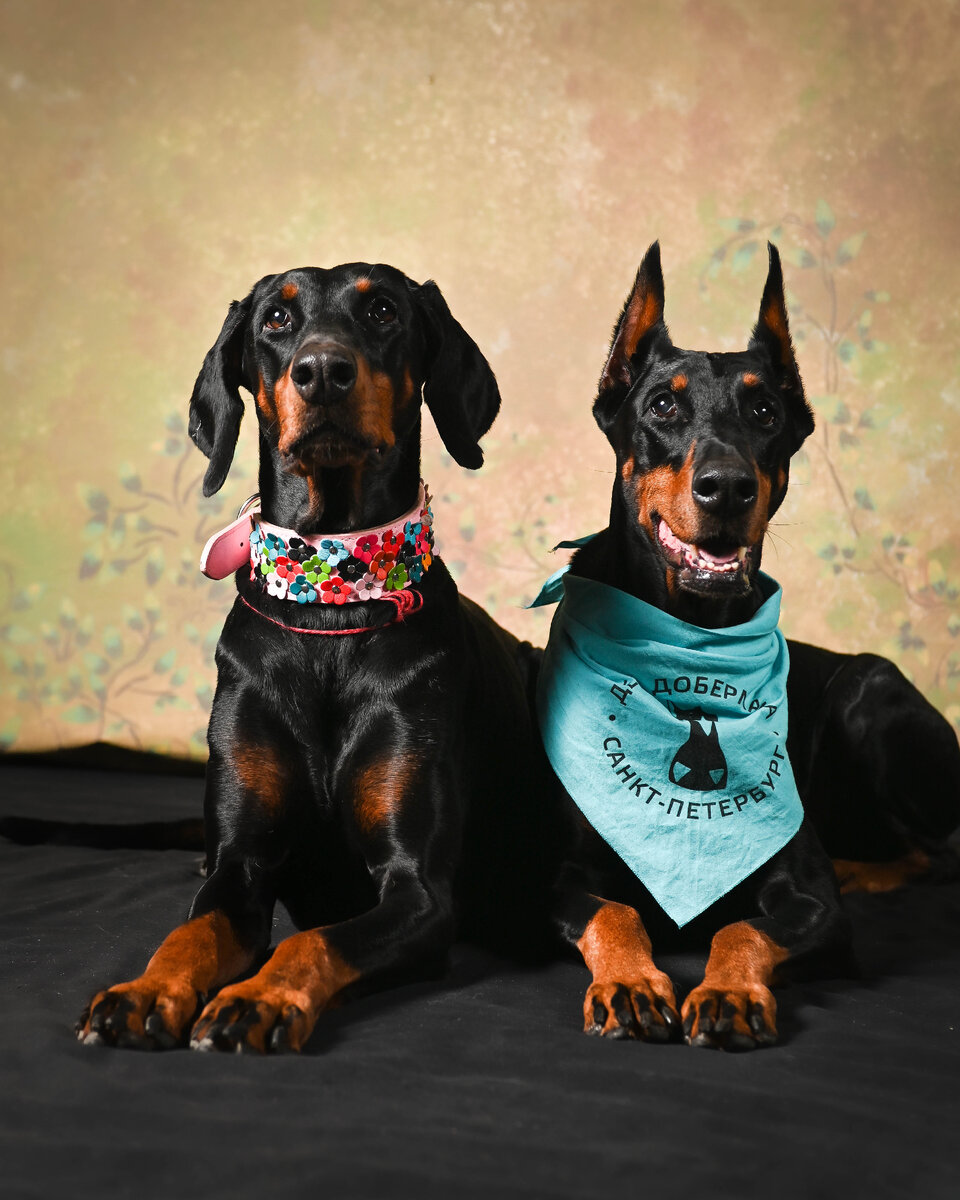 Фотограф lesnoe_photo