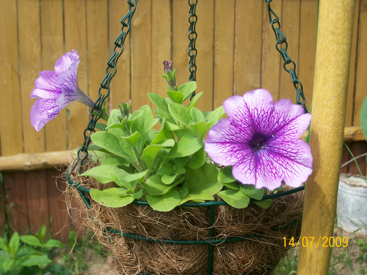 Фото из личного архива