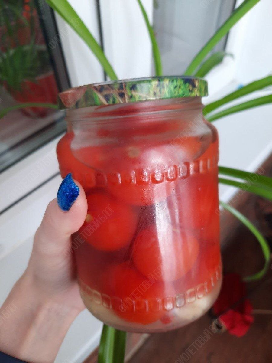 «А че, давайте вырастим!». С этой фразой и с большим потоком вдохновения начали воплощать идею в жизнь.-23