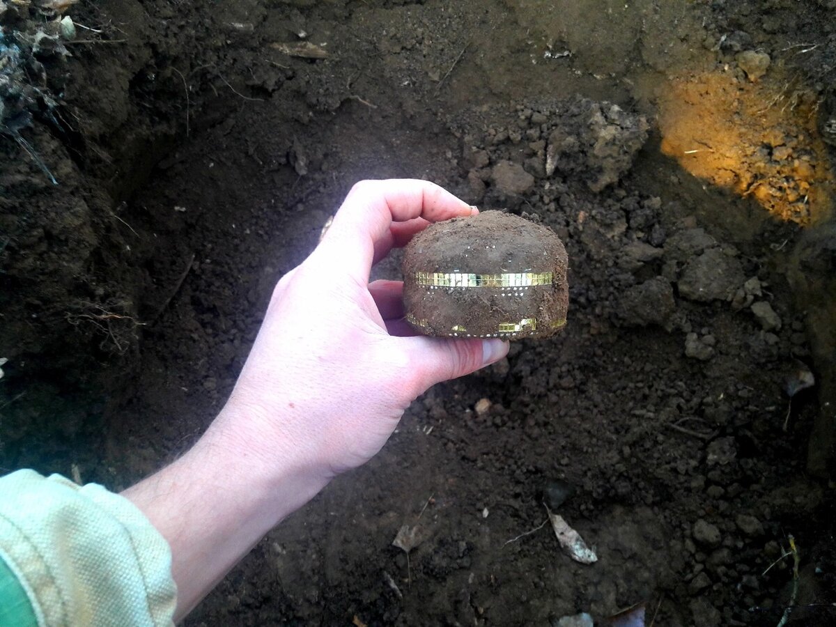 Взято из открытого источника