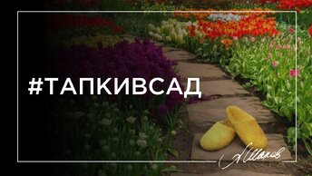 Как показать свою ценность обнаглевшему мужчине? Техника “Тапки в сад”