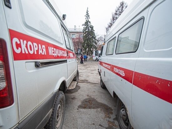     Фото: Денис Винокуров / "МК в Новосибирске"