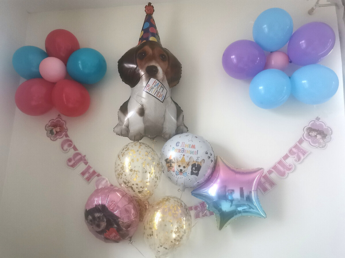 Фото автора канала