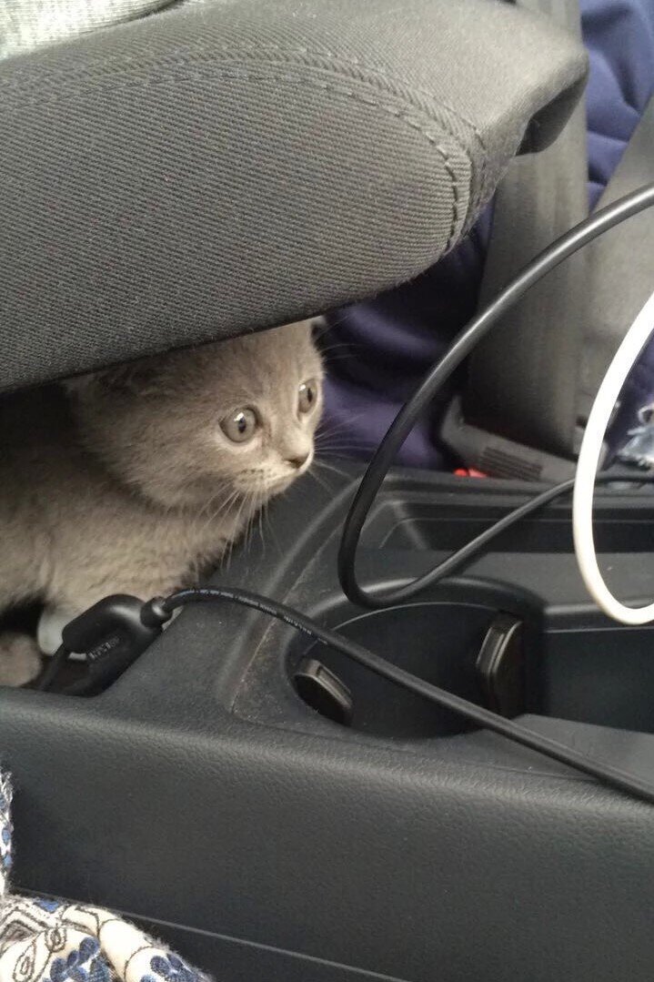 Вот так он ехал к новому дому