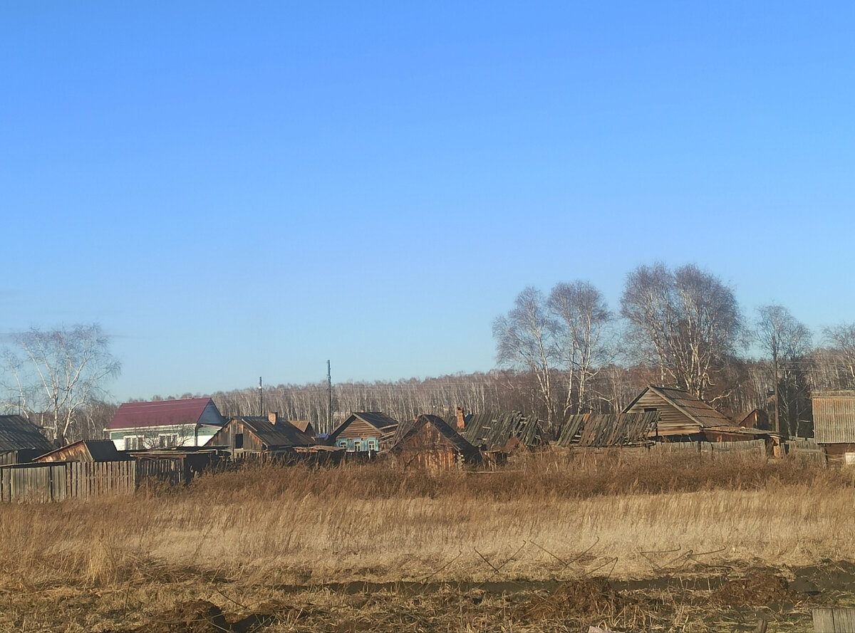 Где лучше жить в деревне или в городе? Минусы. | МамаНастя | Дзен