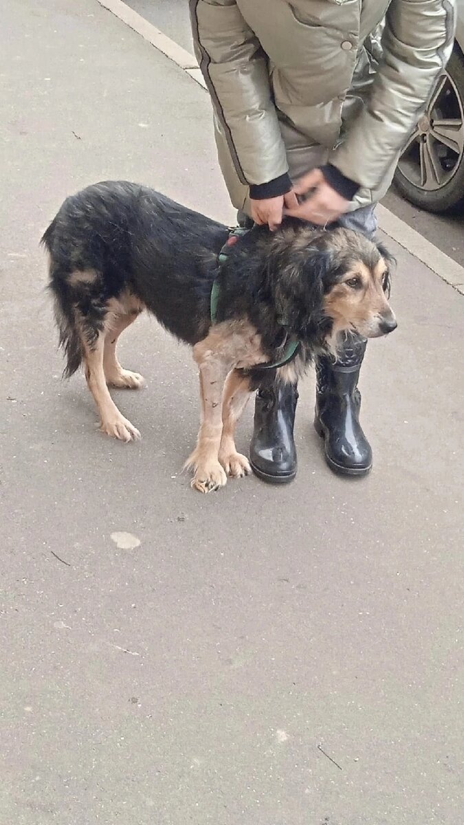 Блюз на прогулке