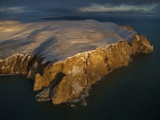     фото: остров врангеля. источние: википедия