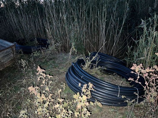     Ранее судимый предприниматель вырастил в прудовом хозяйстве 123 килограмма наркотических средств / Пресс-служба УМВД России по Астраханской области