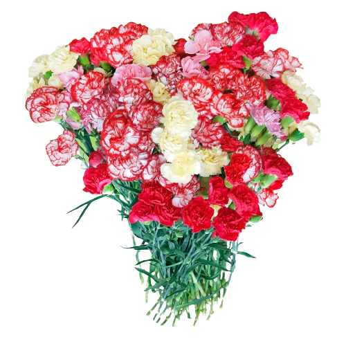 Букет шикарных гвоздик для вас!!! Коллаж автора канала NikI Photostory 