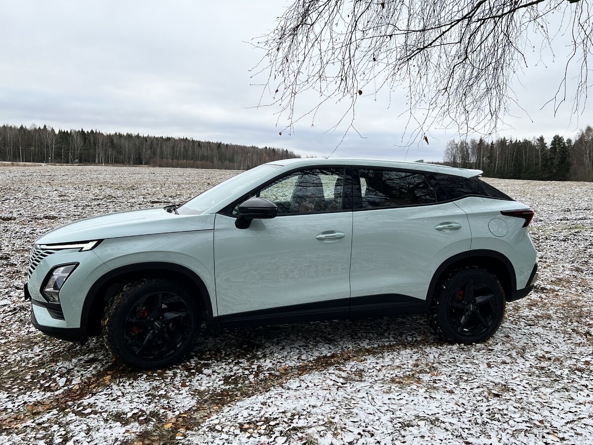     омод1 Фото avtovzglyad.ru