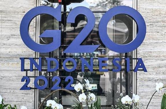    эмблема саммита G20 в Индонезии, Britta Pedersen/dpa