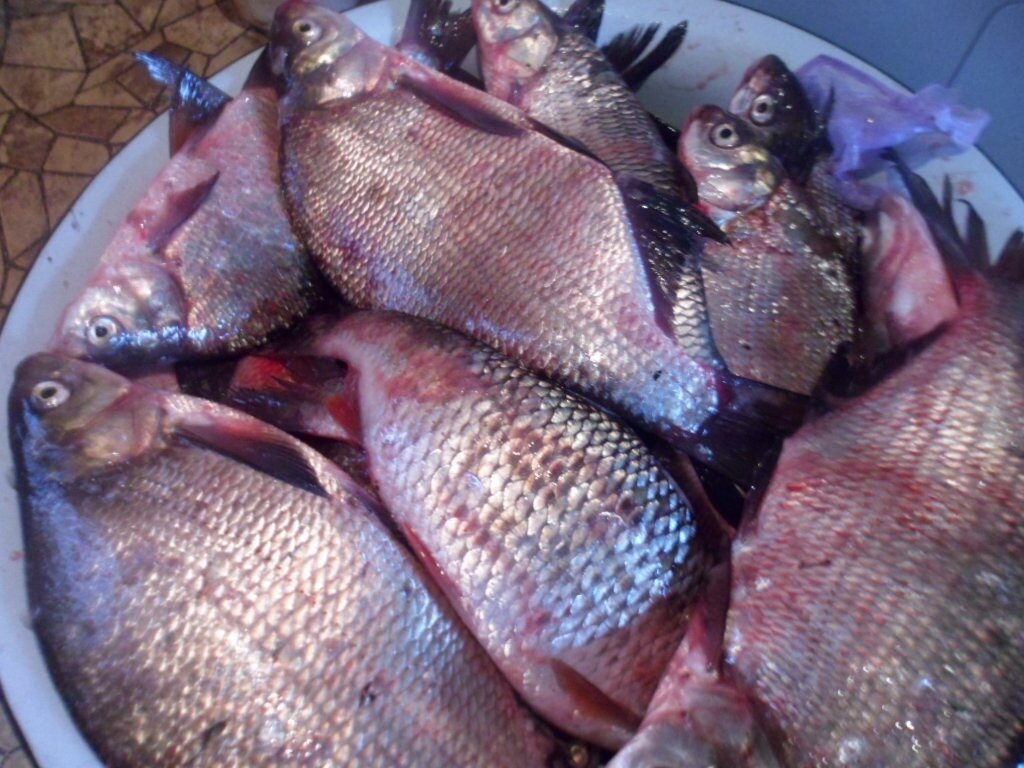 Рыба - источник не только фосфора, но и позитивного настроения...