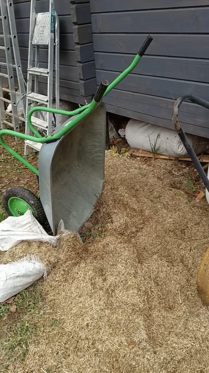 Зато от мышей нас охраняет!