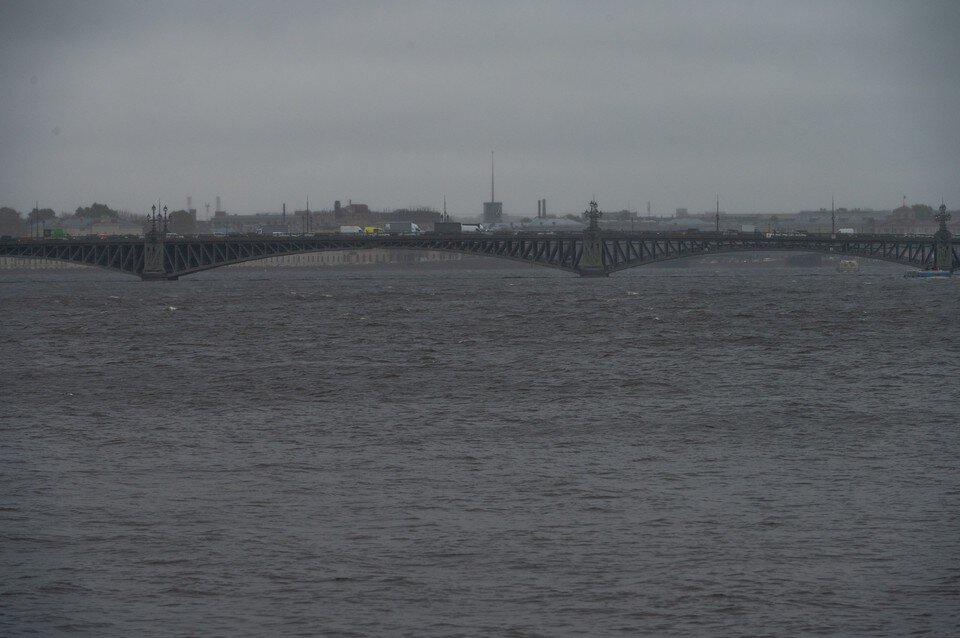     Ночь 11 ноября стала самой теплой в Петербурге за всю историю наблюдений за погодой  ПЫХАЛОВА Юлия (архив)