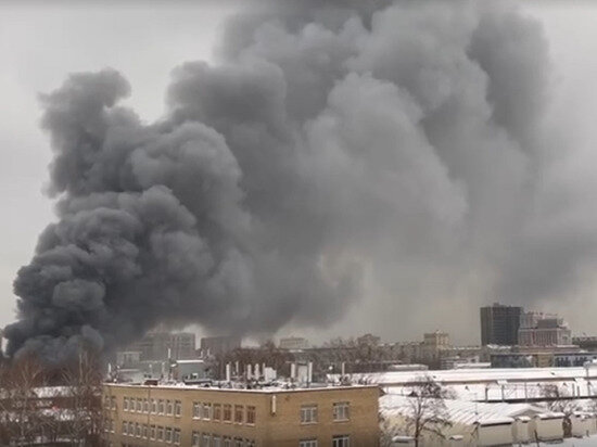     фото: кадр видео. источник: соцсети