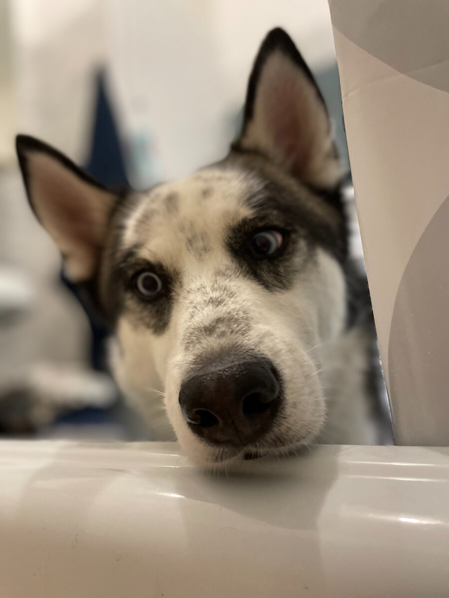 Ой, ты куда поплыла? Это безопасно? Давайте присмотрю за тобой!