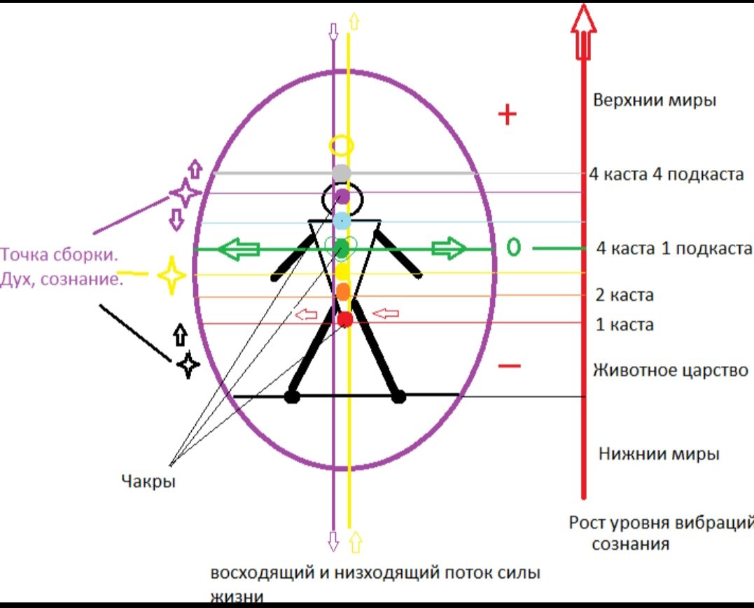 14. Принцип управления сознанием. Осознанность. Концентрация внимания.  Точка сборки (часть 2) | Школа мудрости Сергея Шаби | Дзен