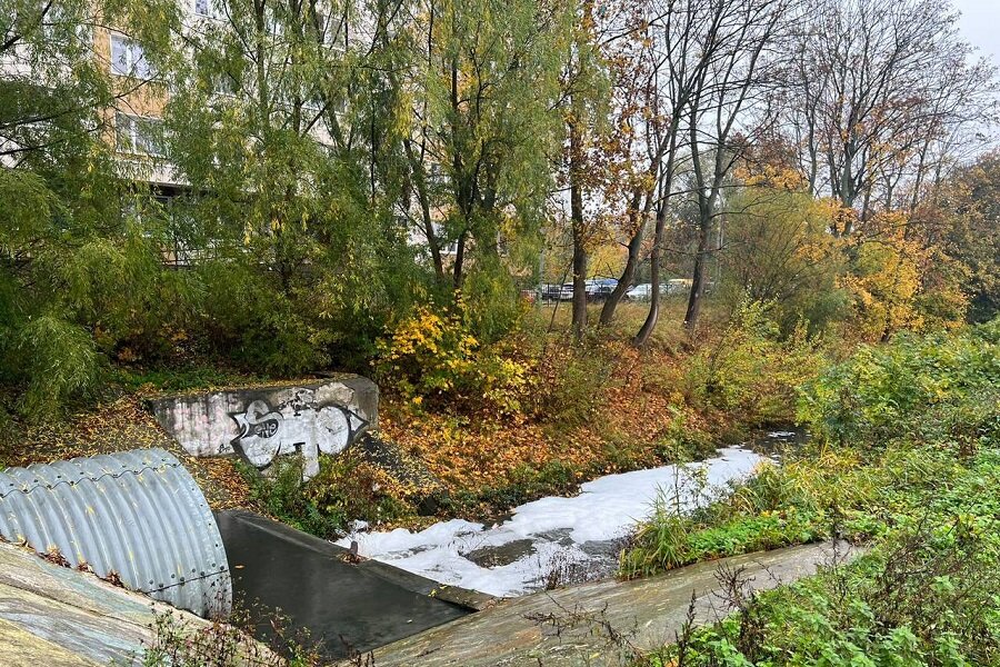 Фото природоохранной прокуратуры области