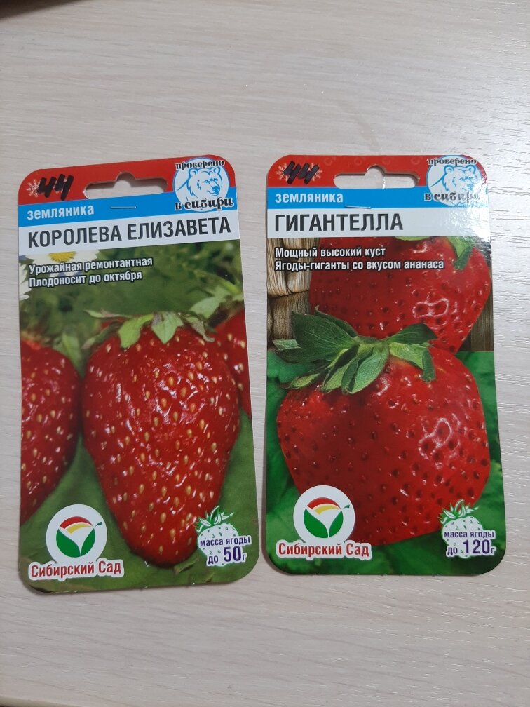 И снова дратути
