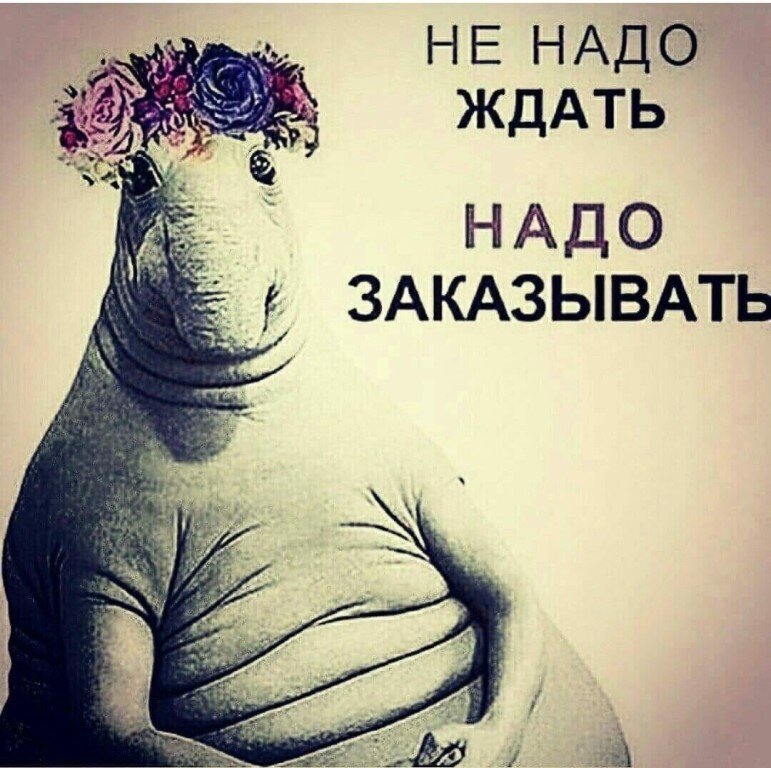 Надо брать картинка