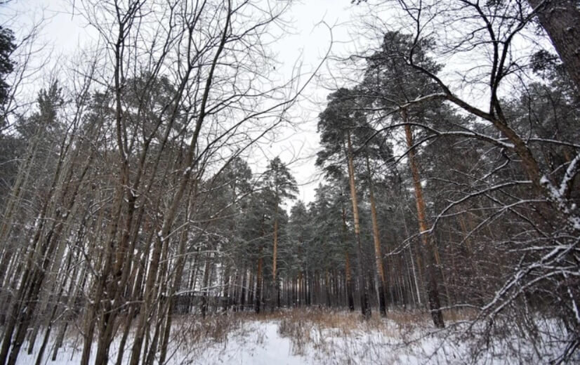    Фото: Дмитрий Емельянов / E1.RU