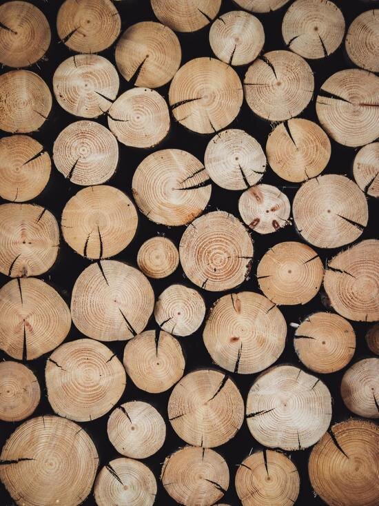     Фото unsplash.com