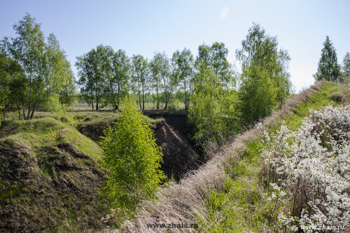 Городище Городня Тульская область