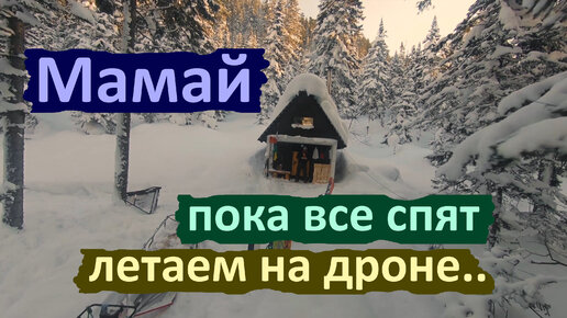 Мамай. Утренний лес! Интересный пролет на Квадрокоптере.