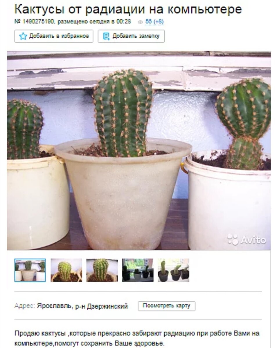 видимо в 2018м в это ещё верили.... 