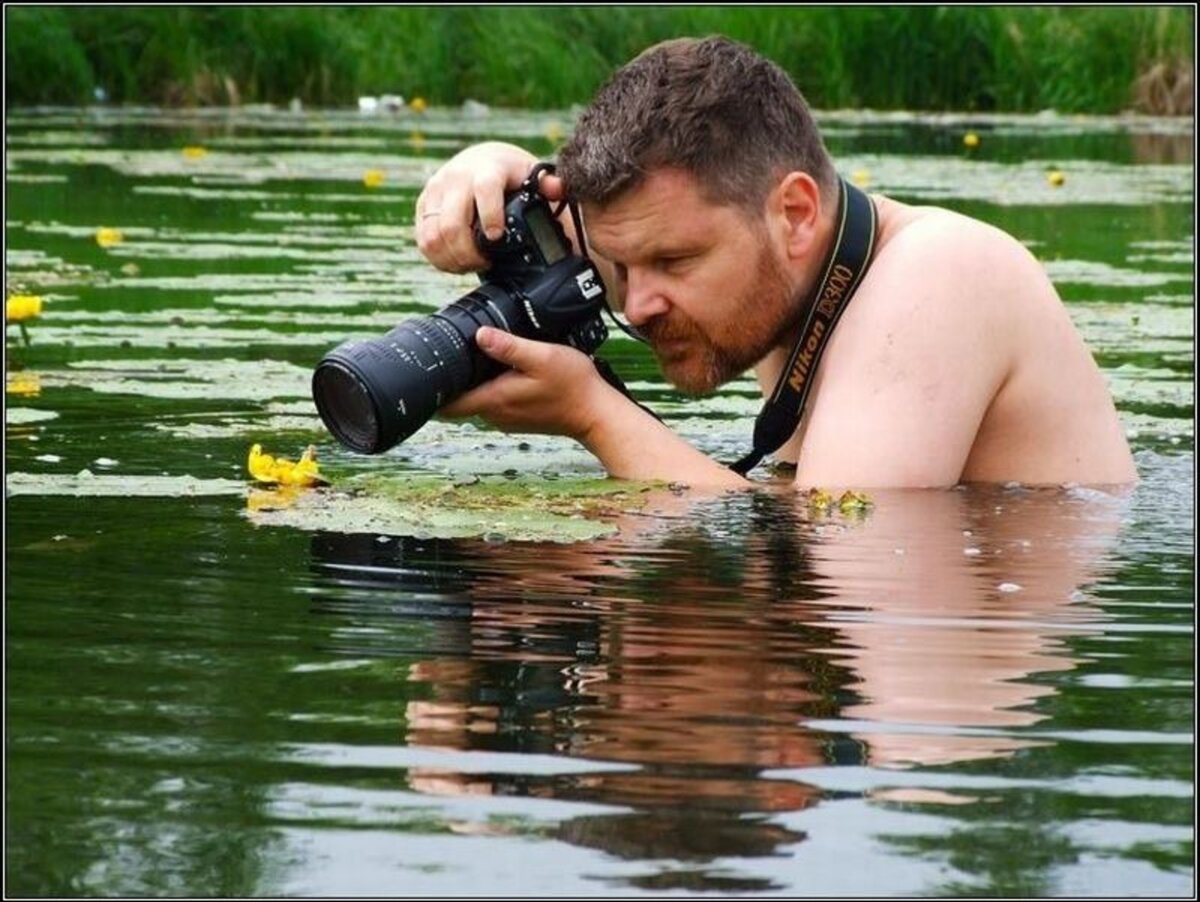 Яндекс картинки
