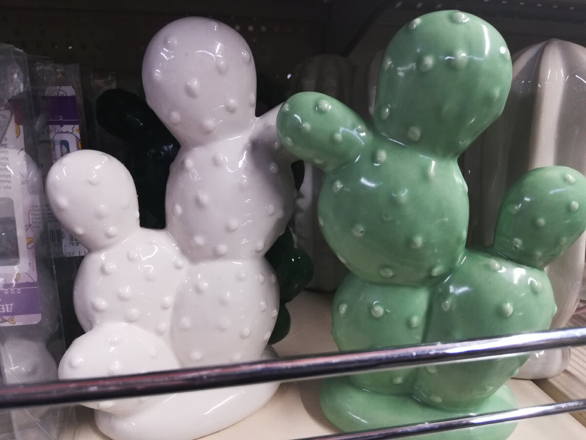 Цена 199 руб  Согласитесь, что кактусы очень миленькие.