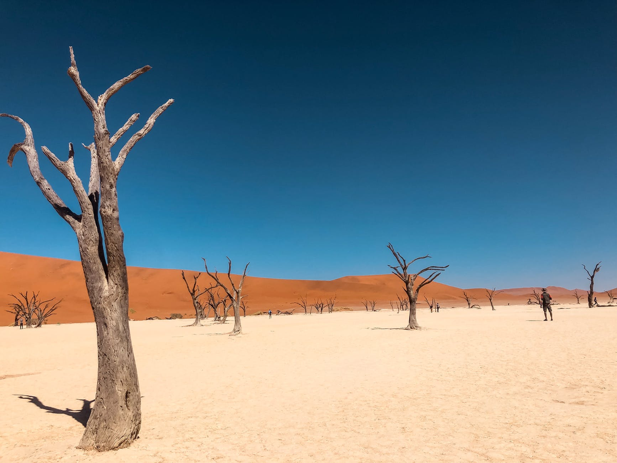 Жара засуха. Namibia Beach. Dry Desert. Как идет жара из пустыни сахара.
