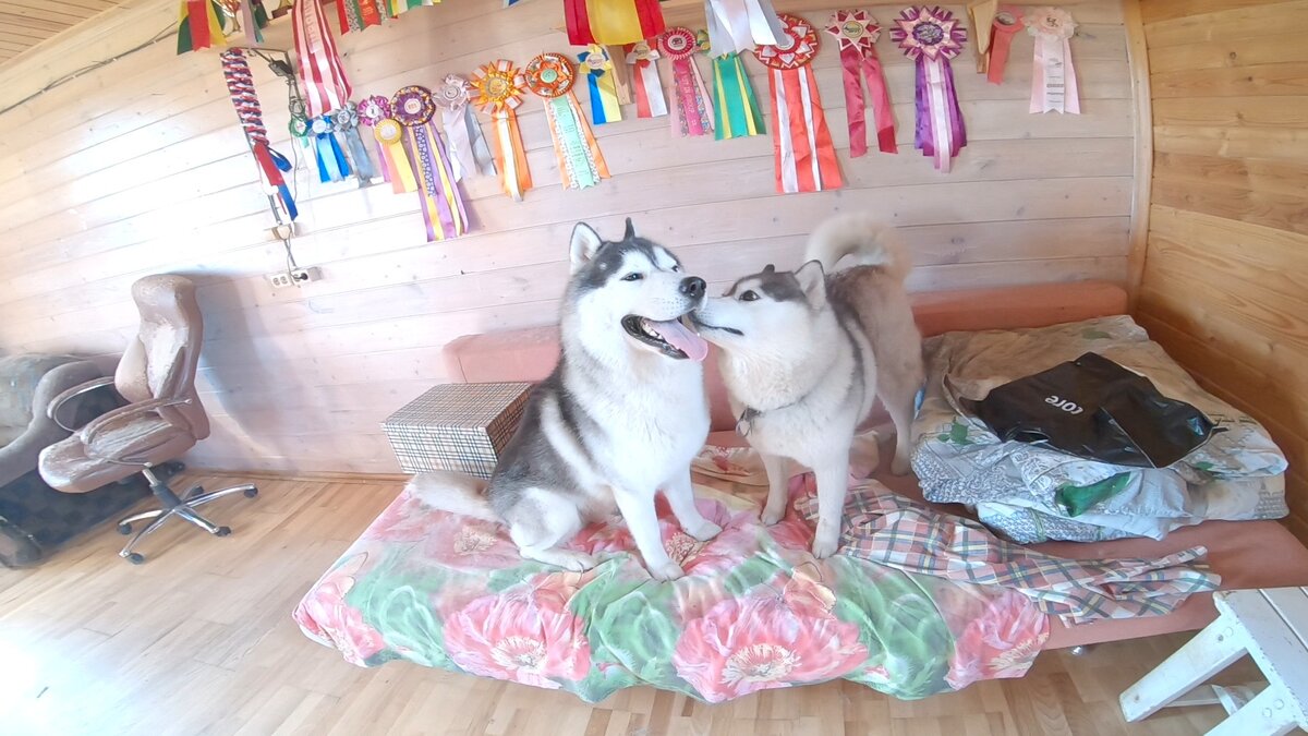 Коба и Мира, а на ледующей Зося и Олси. 