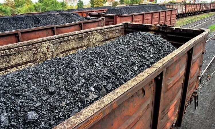 Фото из открытых источников.