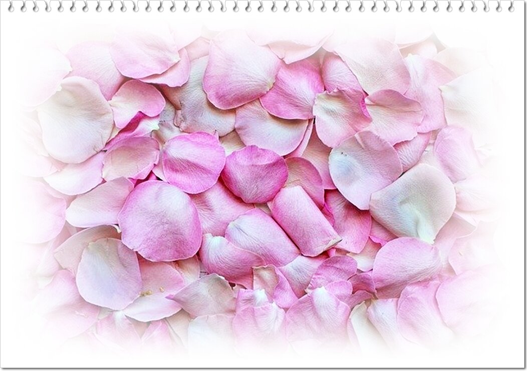 Изображение Jill Wellington с сайта Pixabay