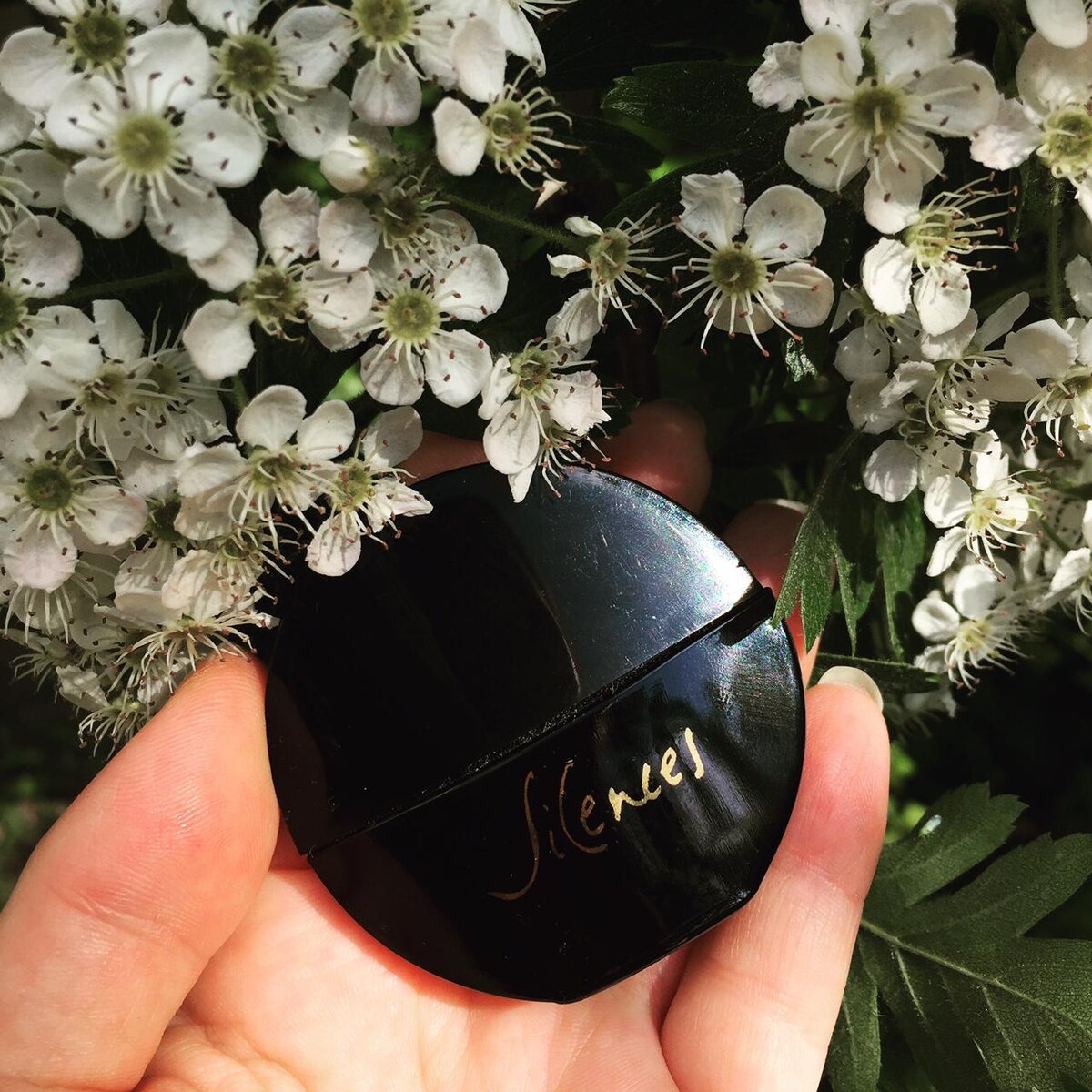 Jacomo Silences из коллекции Парфюм дня