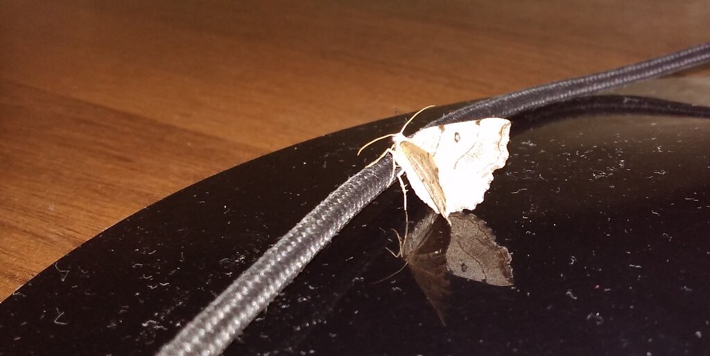 Первое творческое свидание. Фото автора