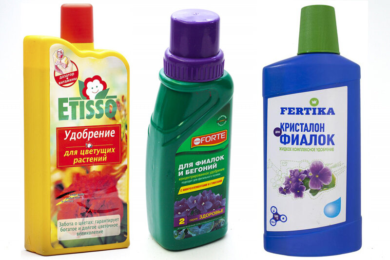 Самые популярные у фиалочников удобрения